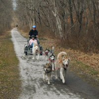 Running in Baltimore county