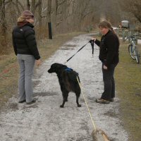 Pull training