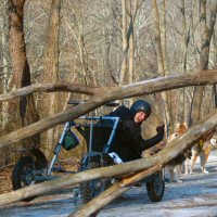 Catherine and the team dog sledding in northern Baltimore County.