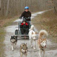 Payton gives a thumbs up for dryland dog sledding.