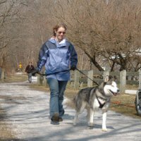 Gryffin and Jenny practice pull training.