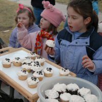 Awesome paw cupcakes