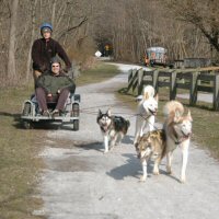 Mike with the siberian huskies