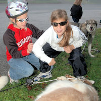 Meet the sled dogs