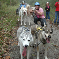 Zoë and Acadia pose with Catherine and the rest of the sled dog team.
