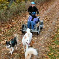 Racing down the trail