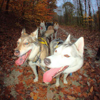 Acadia and Zoe pause during a training run