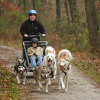 Claudia and sled dog team 