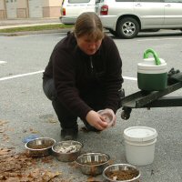 Okemo's favorite part of dog sledding - breakfast!