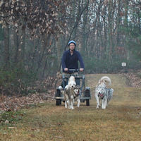Zoe and Acadia lead Sobo and Okemo