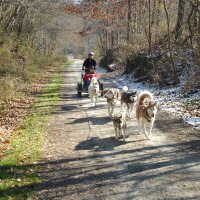 Turbo and Keegan took well to running with the team
