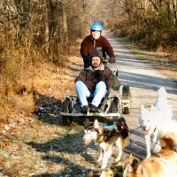 Greg and the sled dog team pause for a short break near the Gunpowder Fall