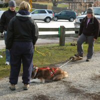 Bodhi demonstrates a lay out