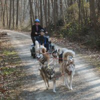 Bodhi and Boojie run in the team position
