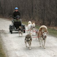 Running down the trail