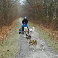 Acadia in lead