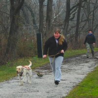 Pull training at White Hall with Lola.